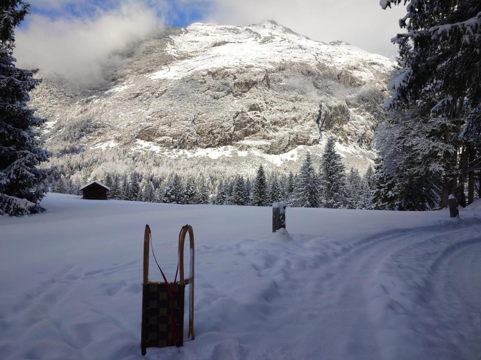 Hotel Garni Isarlodge Wiesenhof Scharnitz Luaran gambar